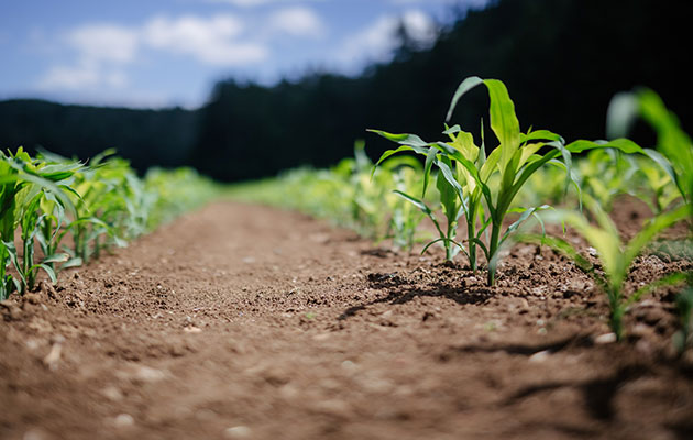 Agricultural Management Legal Seminar